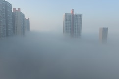 White-Victory Eminence, Wadgaon