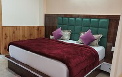 Premium room (balcony)