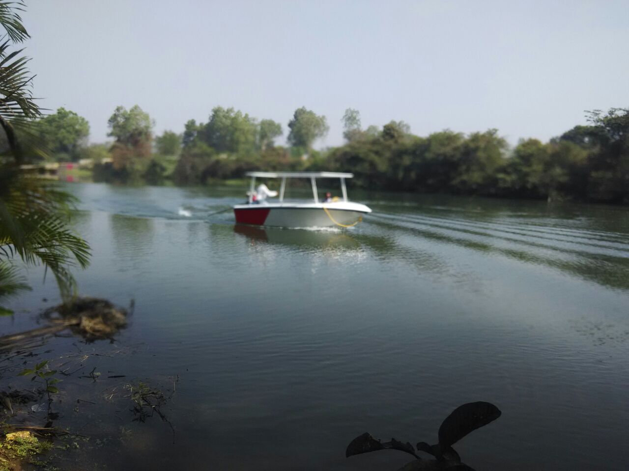 Pawan Resort camping - Tap to explore photos