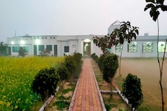 Green Wood Homes, Hisar