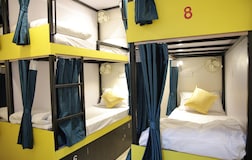Bunk Beds