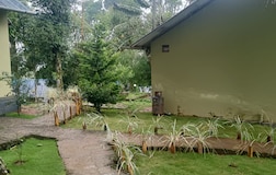 Outdoors