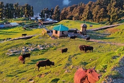 Amar homestay and guest house, Chamoli