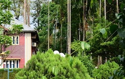 Outdoors