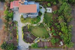 The Palm Tree By Grape County, Trimbak