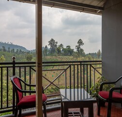 Living Room 1