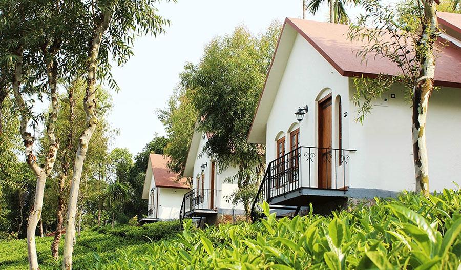 Tea Terrace Vythiri Wayanad Inr 688 Off 6 4 0 0 Price