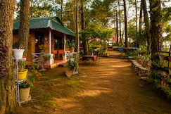 Pinewood Nirvana Jungle Resort, Chail