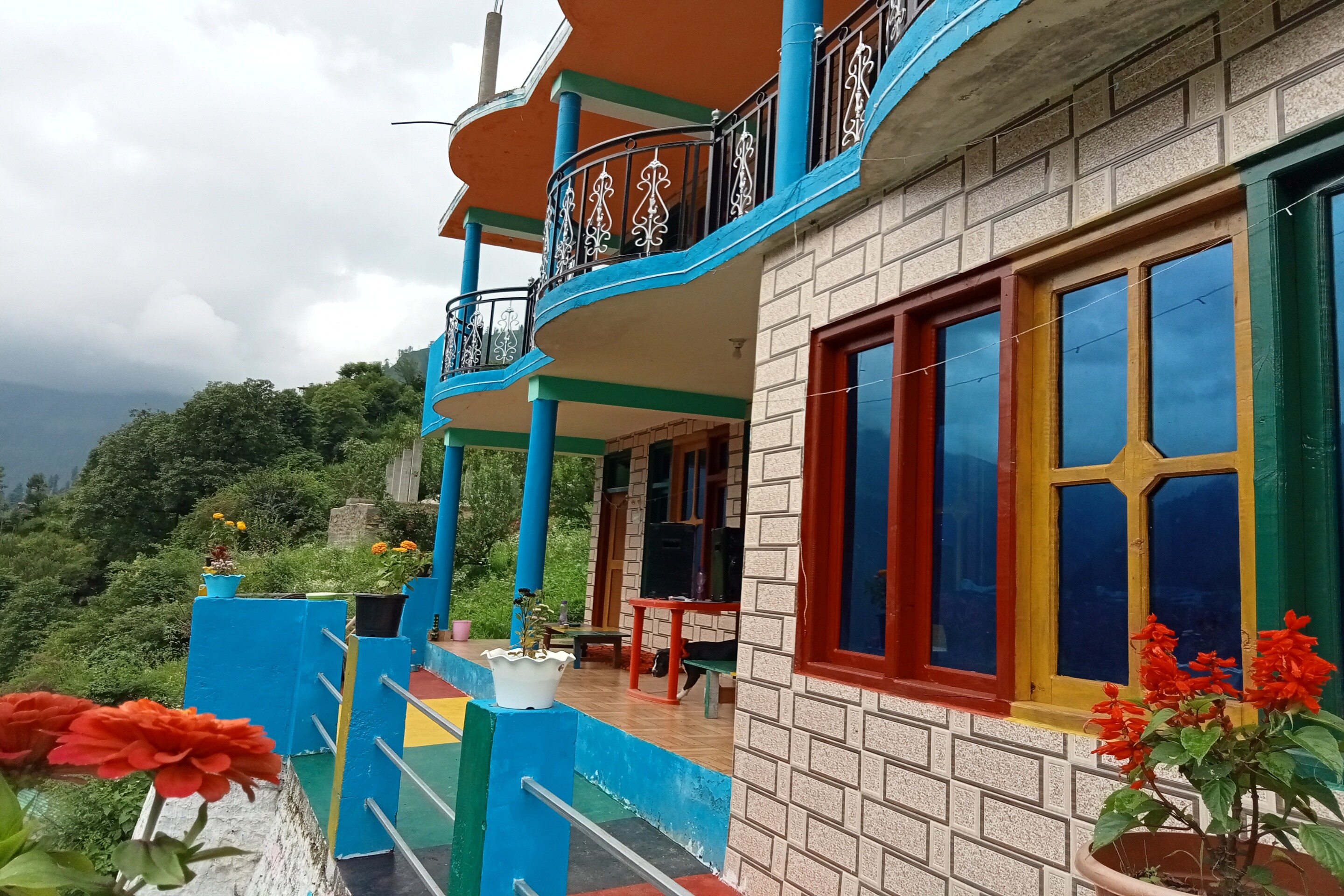 Hotel O Snow Pine Guest House Tosh - Tap to explore photos