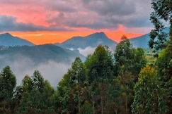 Daddy's Mad House, Munnar