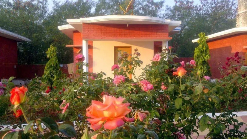 Hotel Shree Krishna Jungle Resort - Tap to explore photos