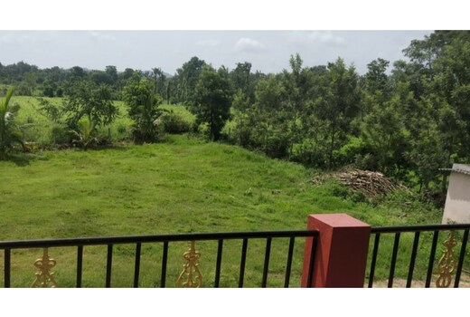 Coorg River Side Homestay