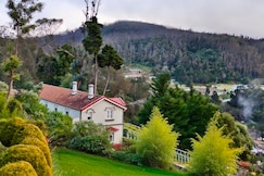 The Humming Bird A Stay Chapter, Ooty