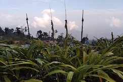 Himalayan Homestay Sillery Gaon, Kalimpong