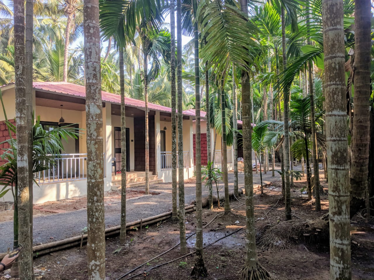 The Leafy Cottages | Rooms & Caretaker, Diveagar