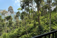 Silver Trees Aframe Cottages, Munnar