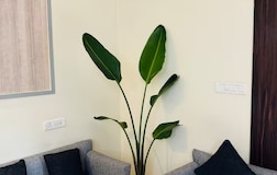 Living Room 1