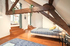 The Old Town Lodge in Antwerp | 3BBK | NS |, Antwerp