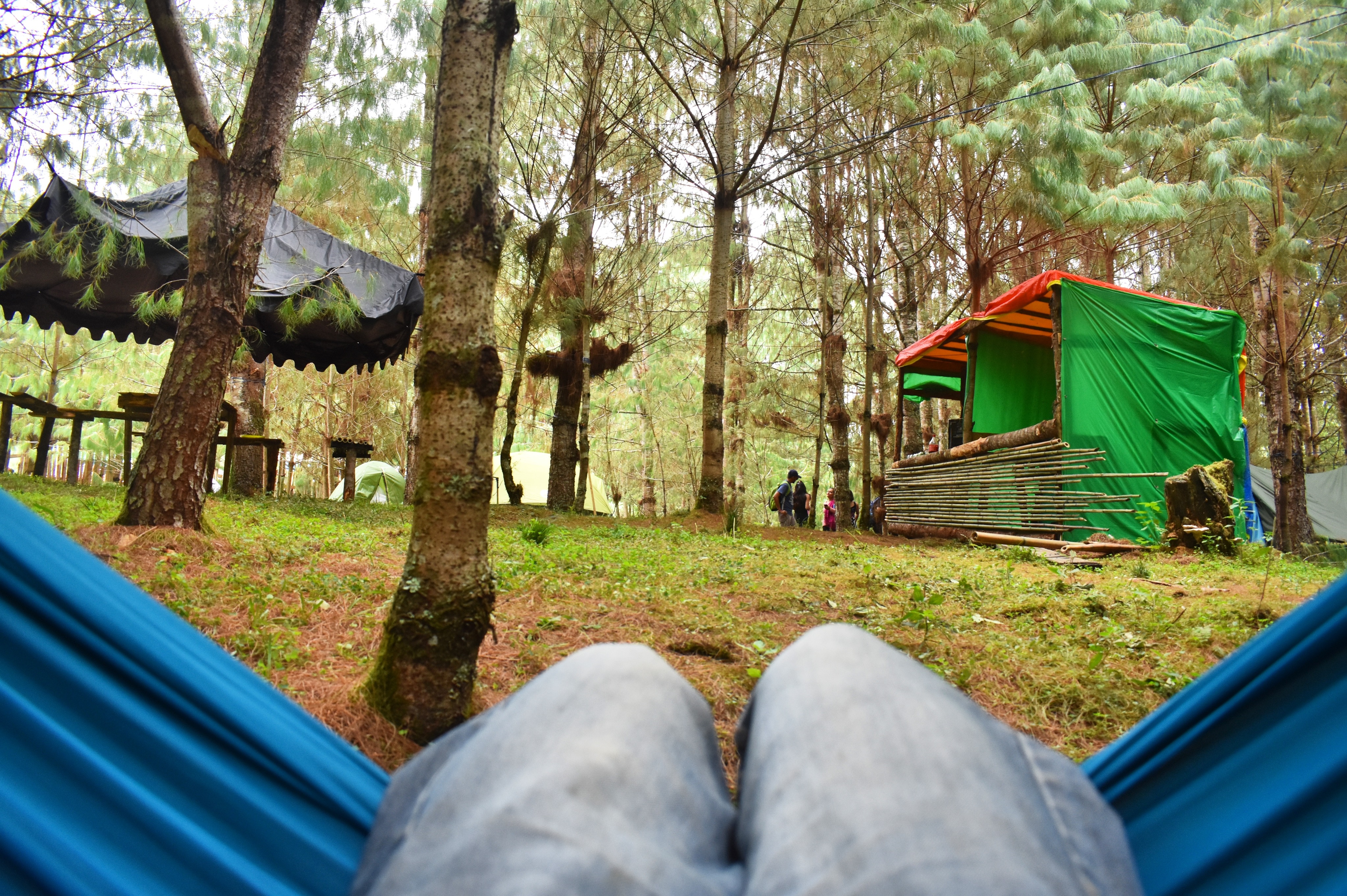 The Encamp Ziro Valley Camp - Tap to explore photos