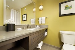 Hilton Garden Inn College Station Hotel, Brazos