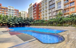 Swimming Pool 1