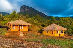 Food Forest Kanthalloor, Munnar