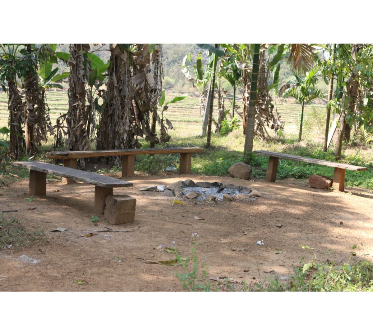 Sunbirds Farm Home Stay Nagoda - Tap to explore photos
