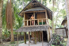 Emerald Gecko, Havelock Island, Havelock