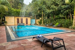 Corbett Tigers n Trees, Jim Corbett (Ramnagar)