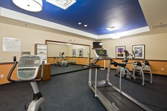 Holiday Inn Express Hotel & Suites Denver East-Peoria Street, Denver