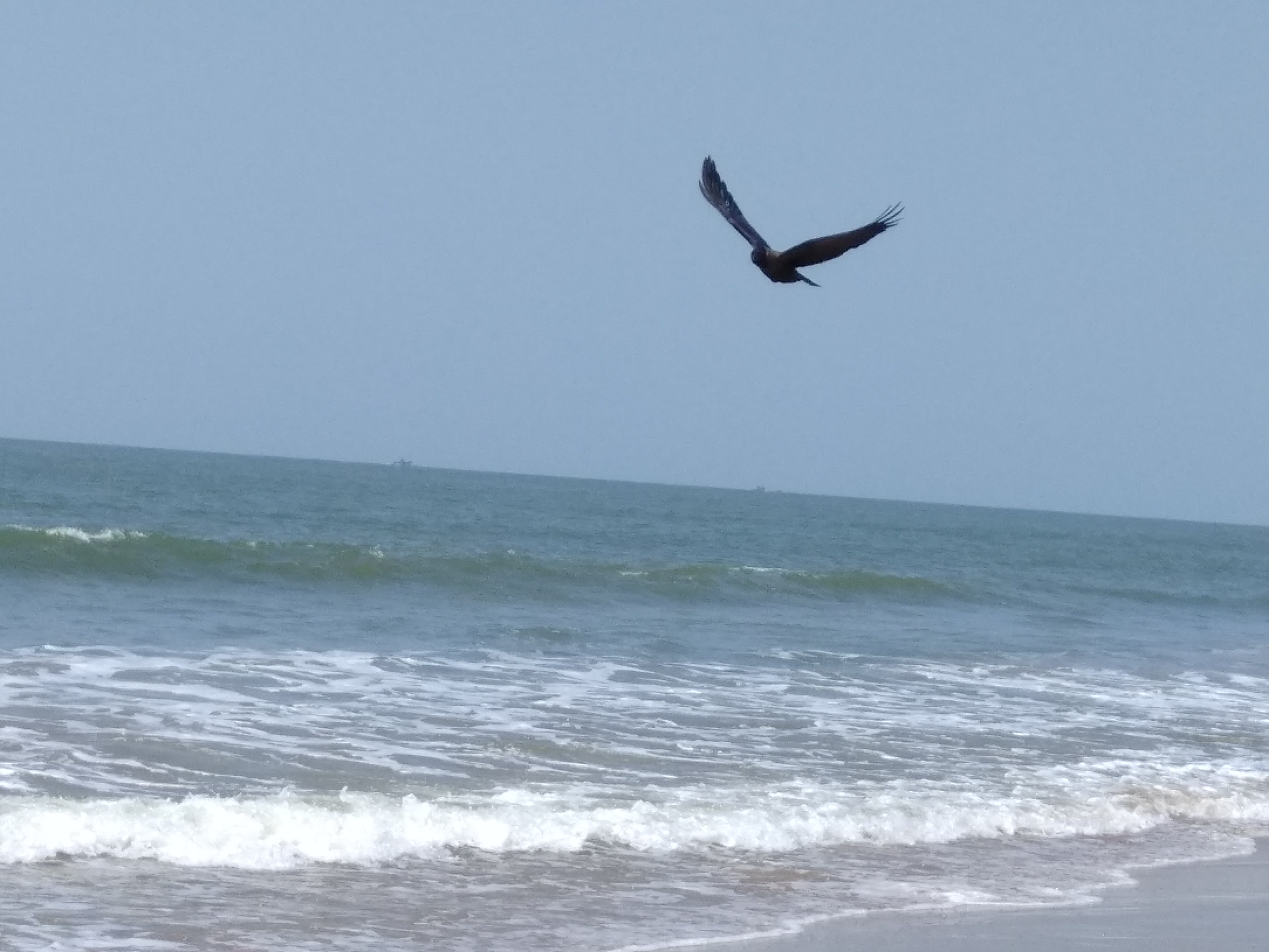 Nirmala Homestay in Waking 4 Minute Beach - Tap to explore photos