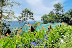 Camp Lights Munnar, Munnar