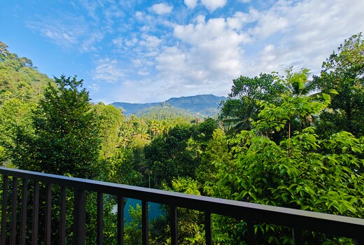 Luna Munnar Rooms