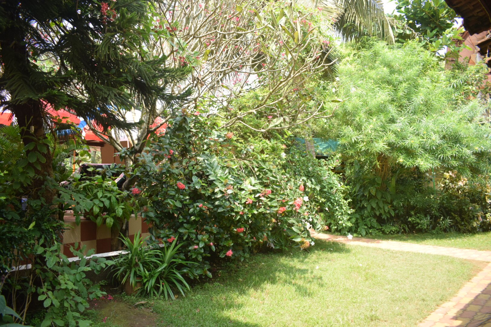 Sunset Cottages Baga Goa Goa Inr 885 Off 1 8 0 0 Resort