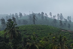 Herittage Illam tradition comfort, Wayanad