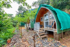 Wild One by evaddo, Gargoti