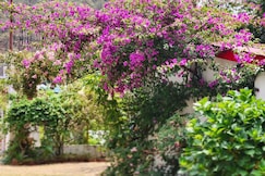 Private Room in Villa  Amanda Green Heritage Homestay, Bhowali