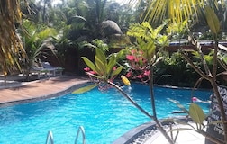 Swimming Pool 1
