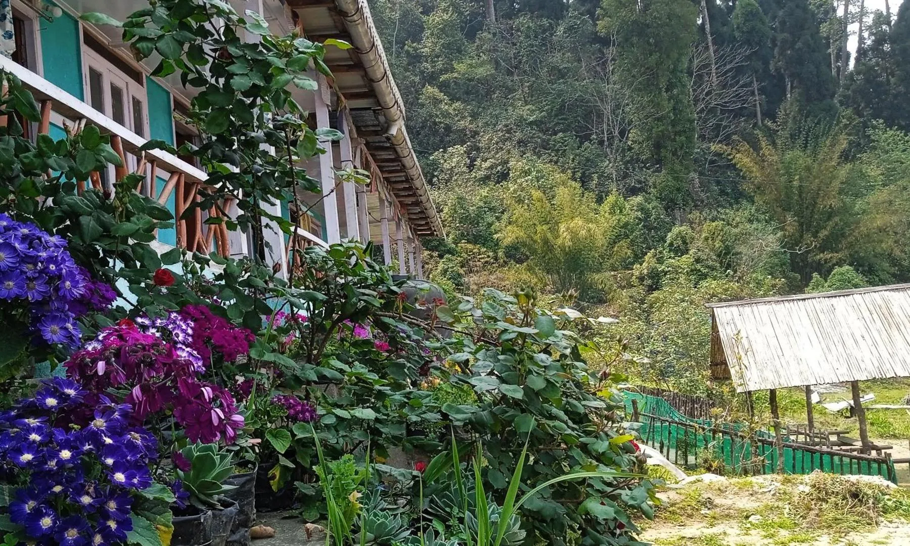 KAFAL HOMESTAY, Kalimpong