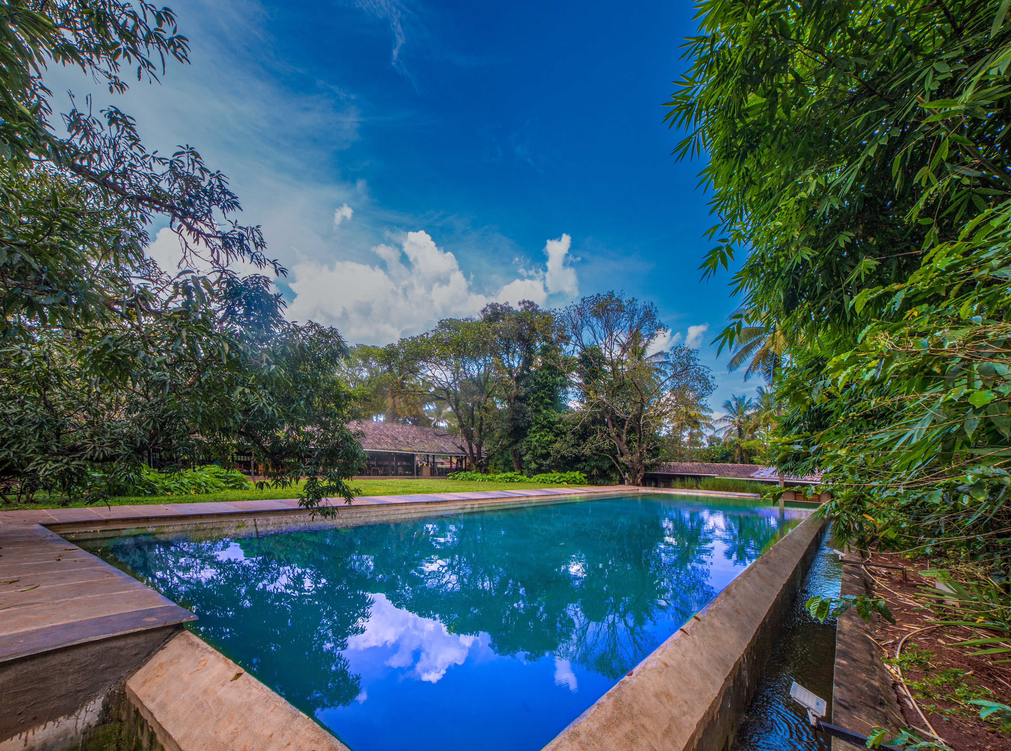 The Orchard Resort, Goa