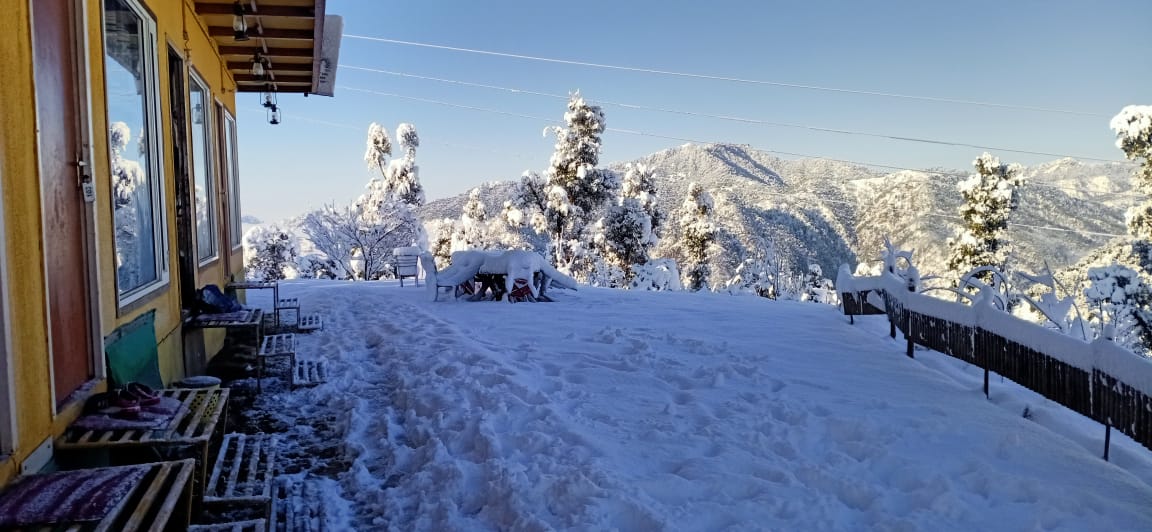 Photos of In Apple Estate Kanatal Homestay in Kanatal