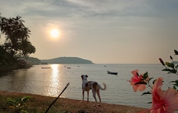 Standard delux sea  view room