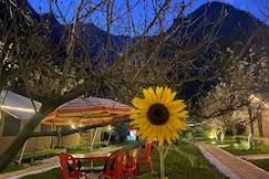 Camp Cloud9miles | Swiss Tents & Cottage, Kasol