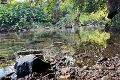 Scenery Farm Villa, Wayanad
