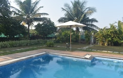 Swimming Pool 1