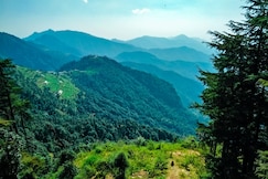 Bamboo Jungle Resort, Dhanaulti