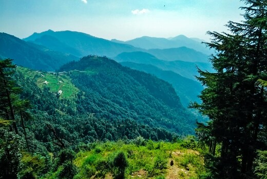 Bamboo Jungle Resort