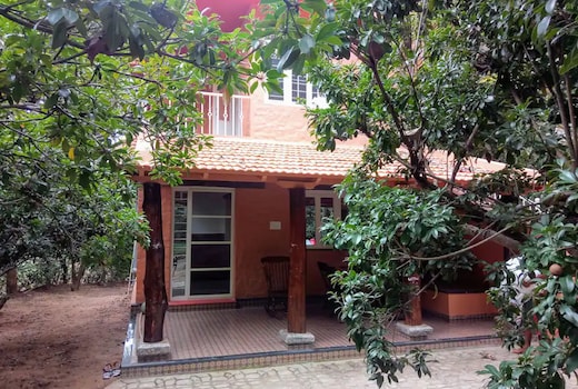 Prakruti Farms l Hornbill