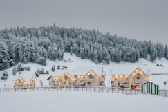 Green Rooms Resort Gulmarg