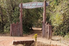 Bhimgad Adventure Camp by Jungle Lodges, Goa